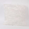 Coussin Plume Blanc